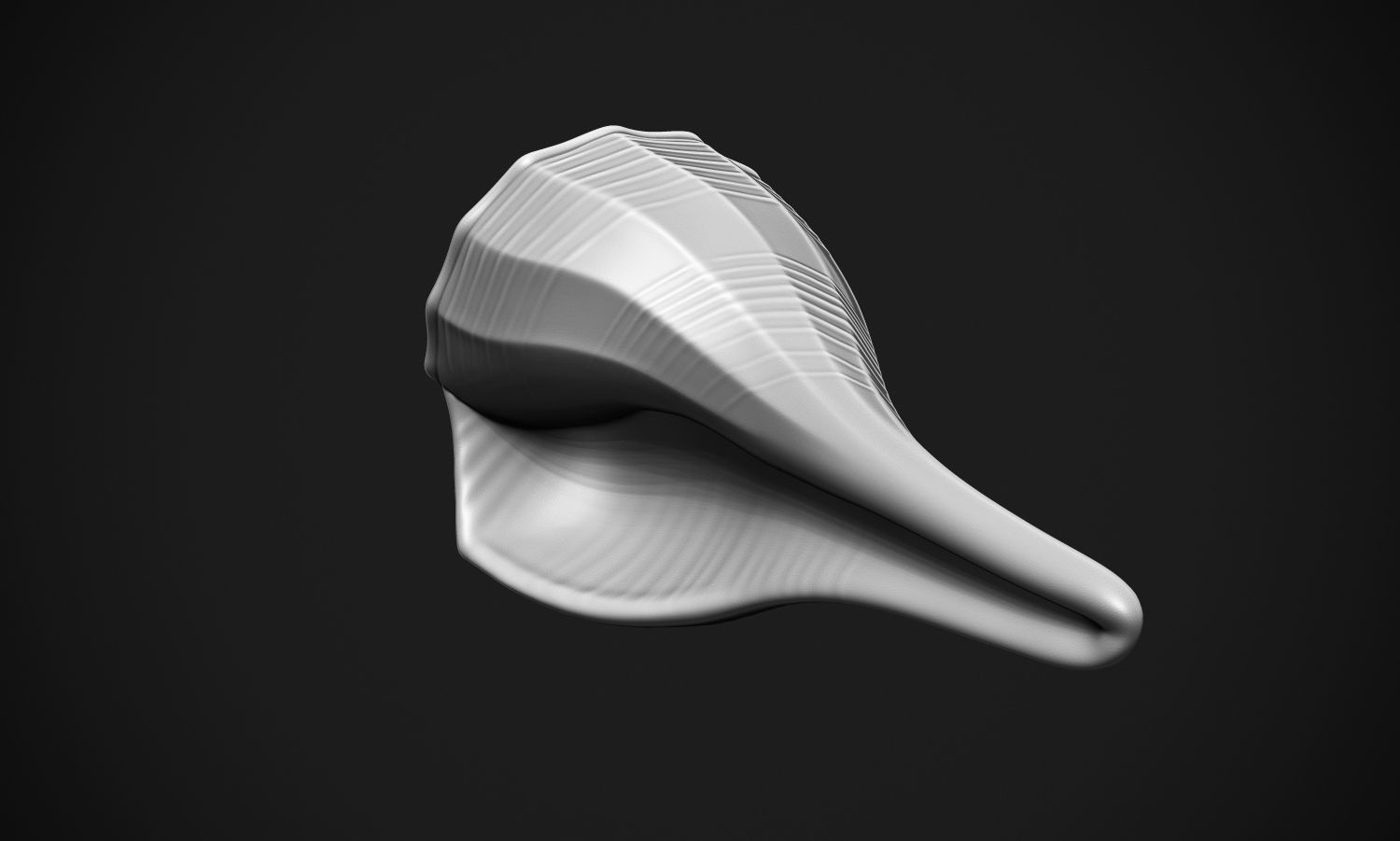 Shell sea 3D print model_7