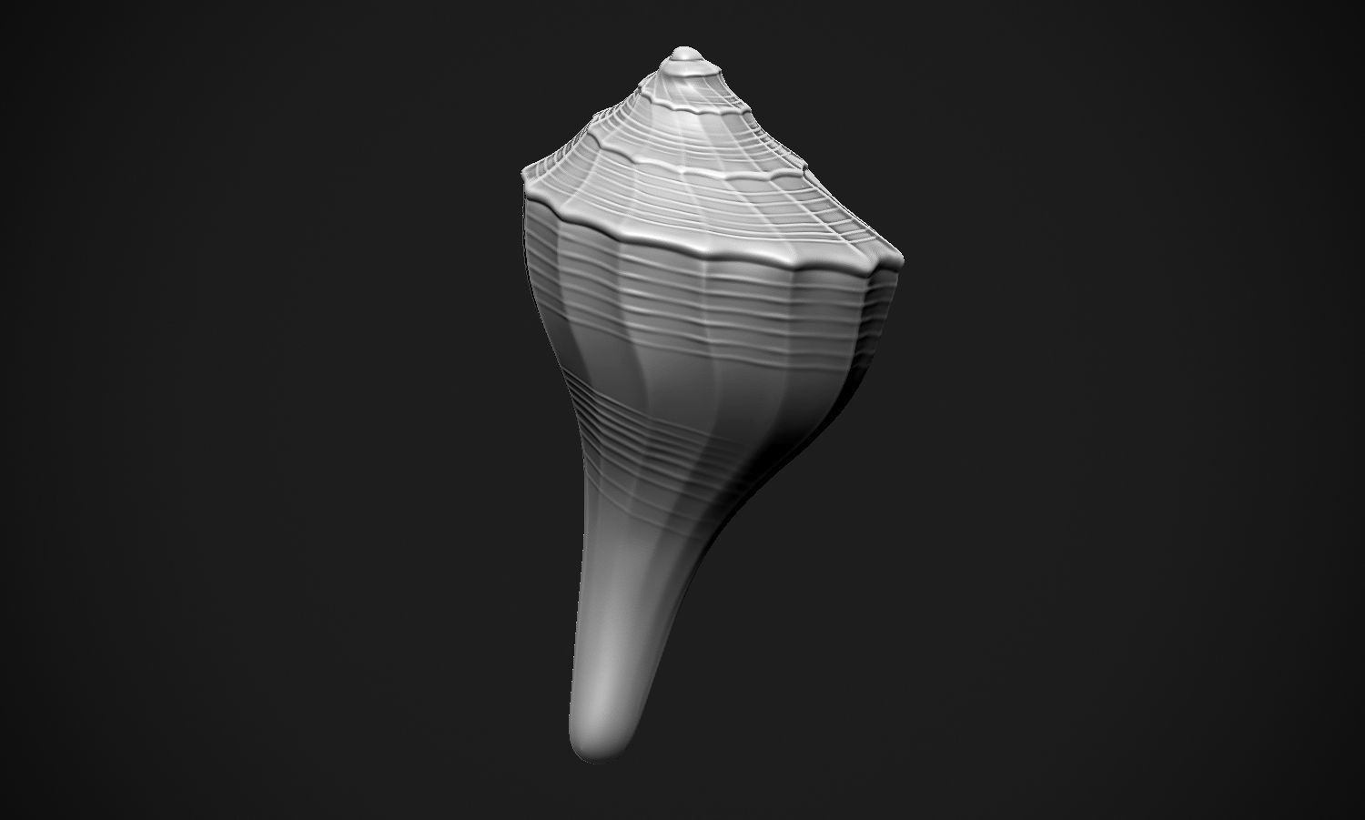 Shell sea 3D print model_19