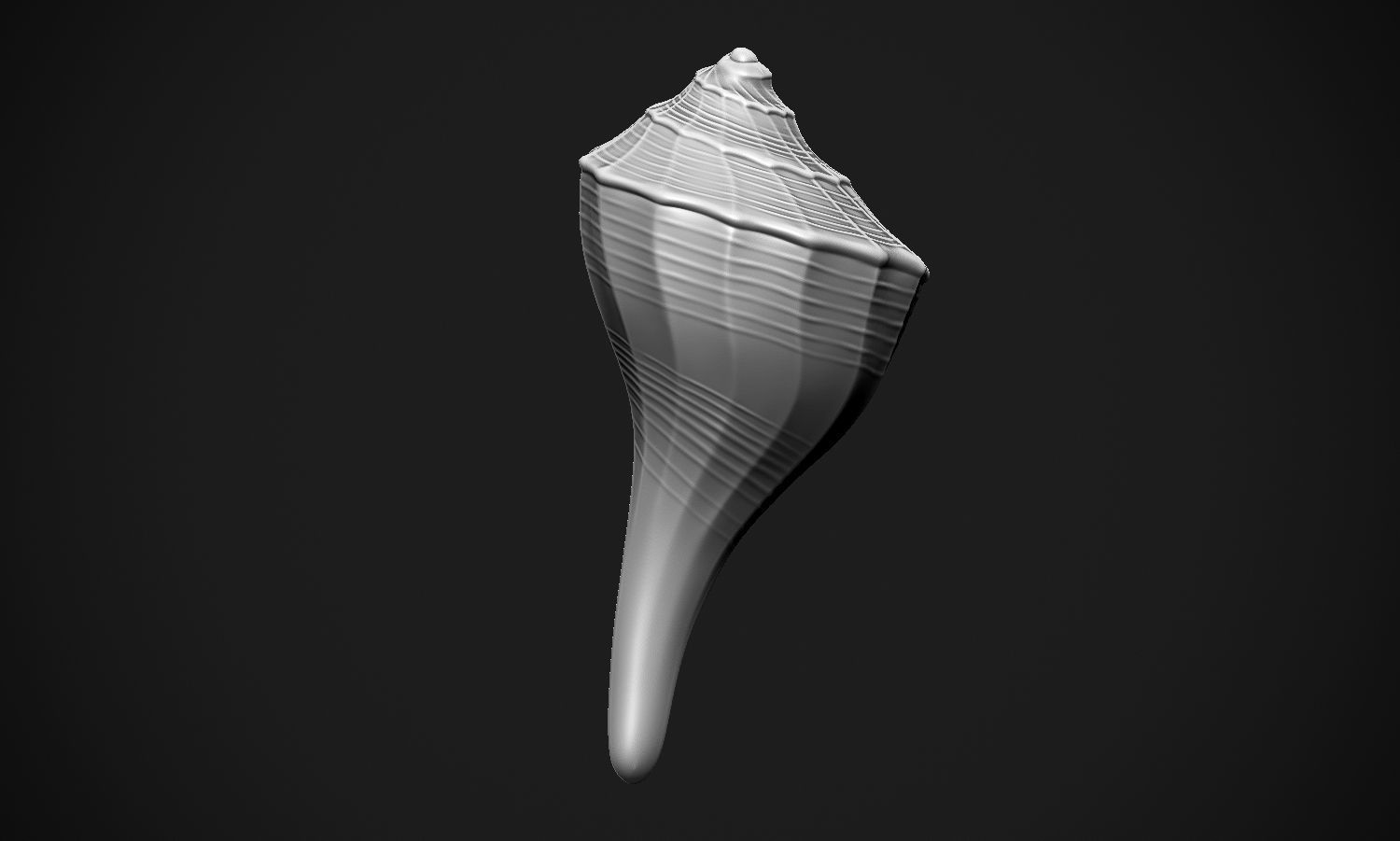 Shell sea 3D print model_21