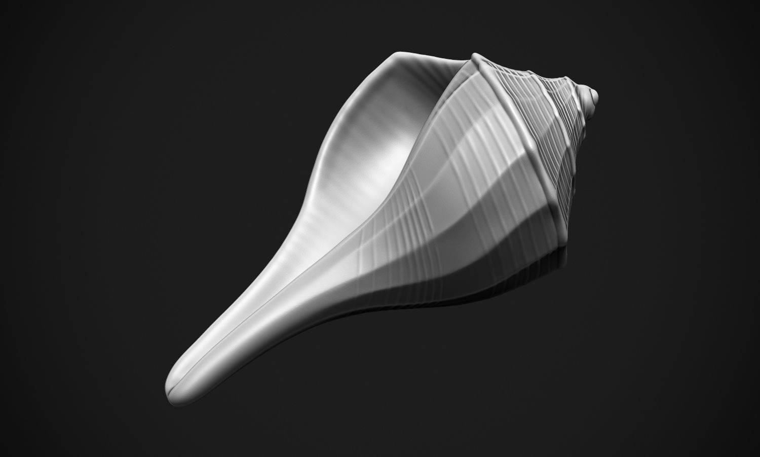 Shell sea 3D print model_6