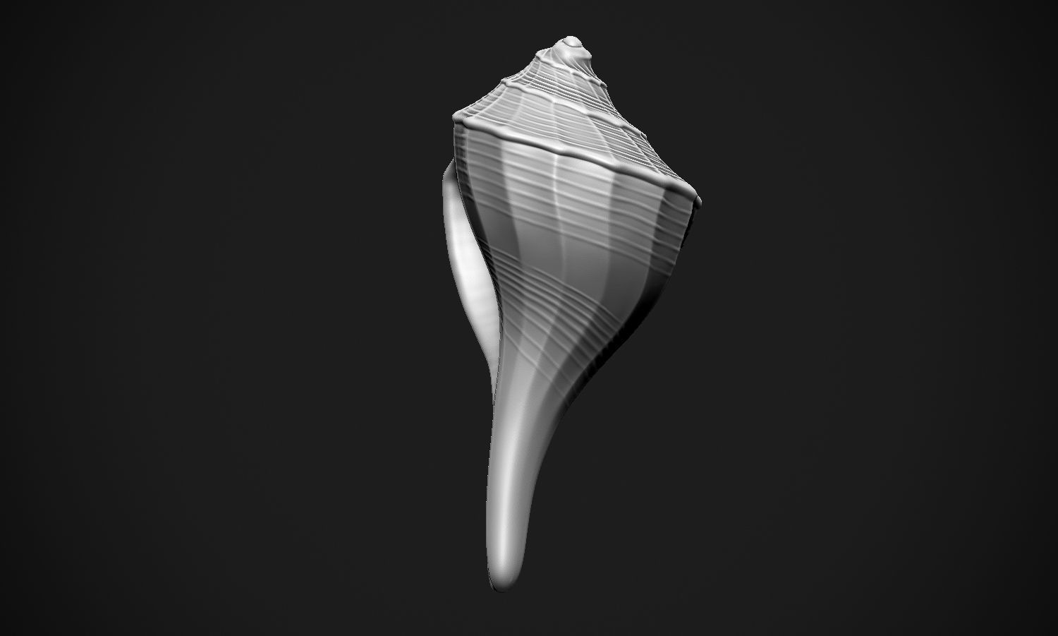 Shell sea 3D print model_22