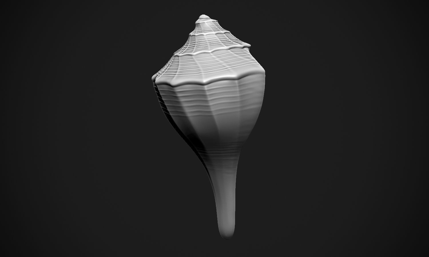 Shell sea 3D print model_15