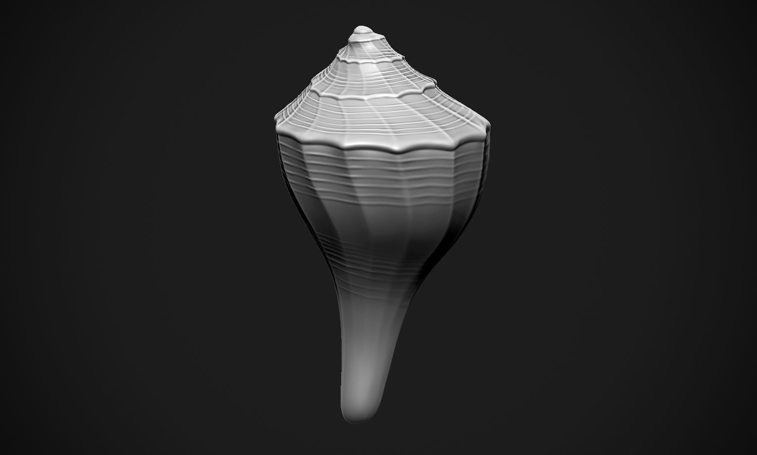Shell sea 3D print model_17