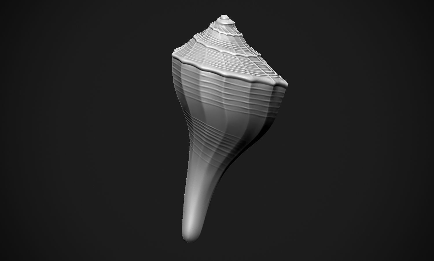 Shell sea 3D print model_20