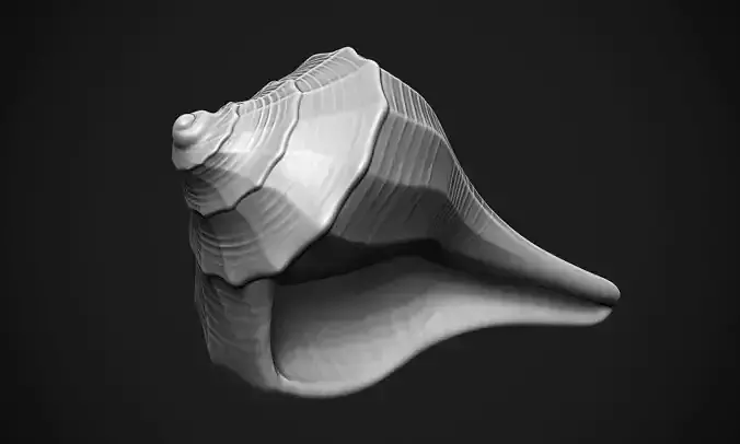 Shell sea 3D print model
