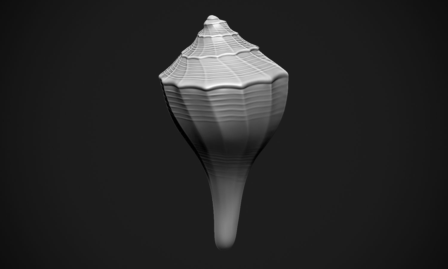 Shell sea 3D print model_16