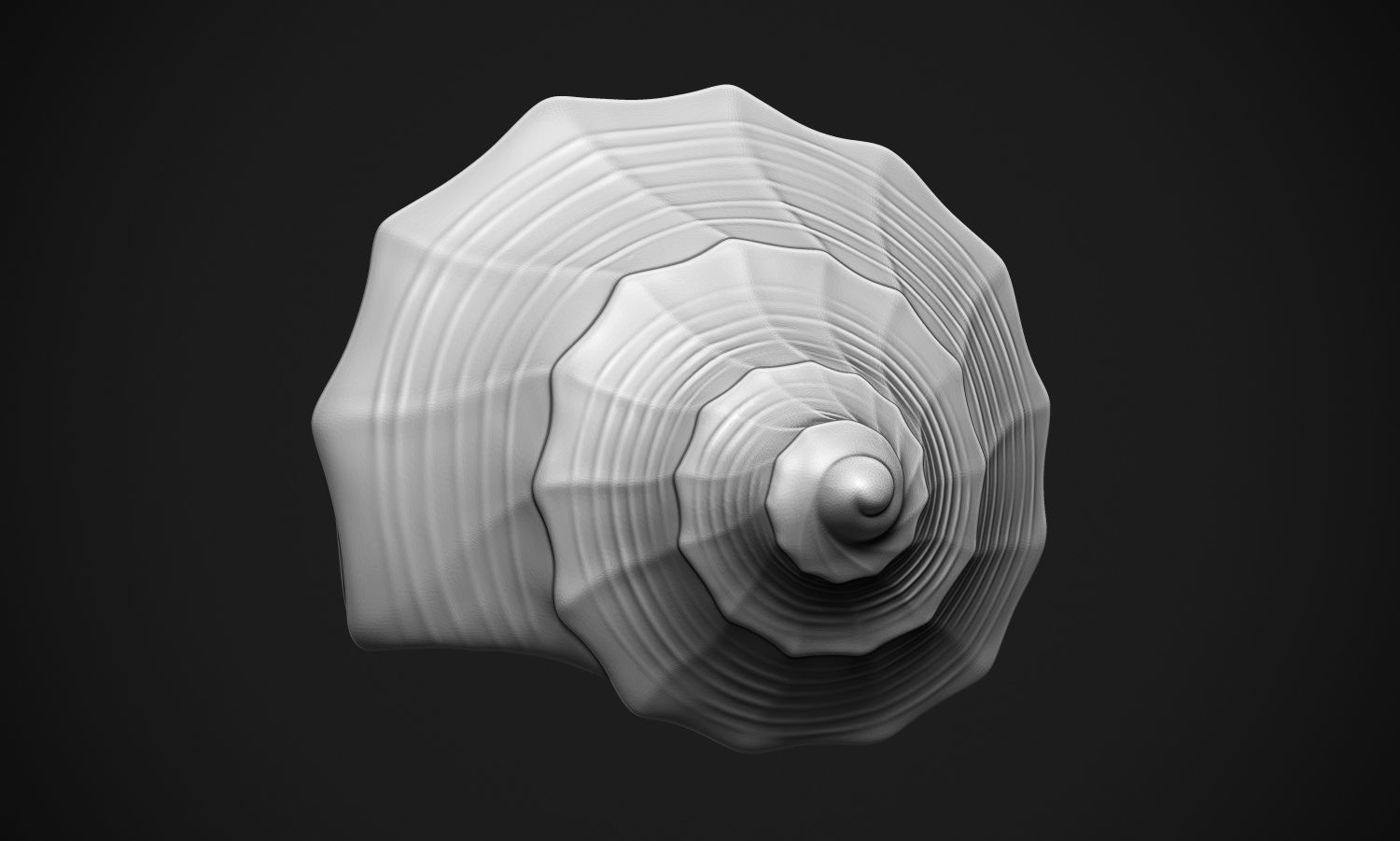 Shell sea 3D print model_3