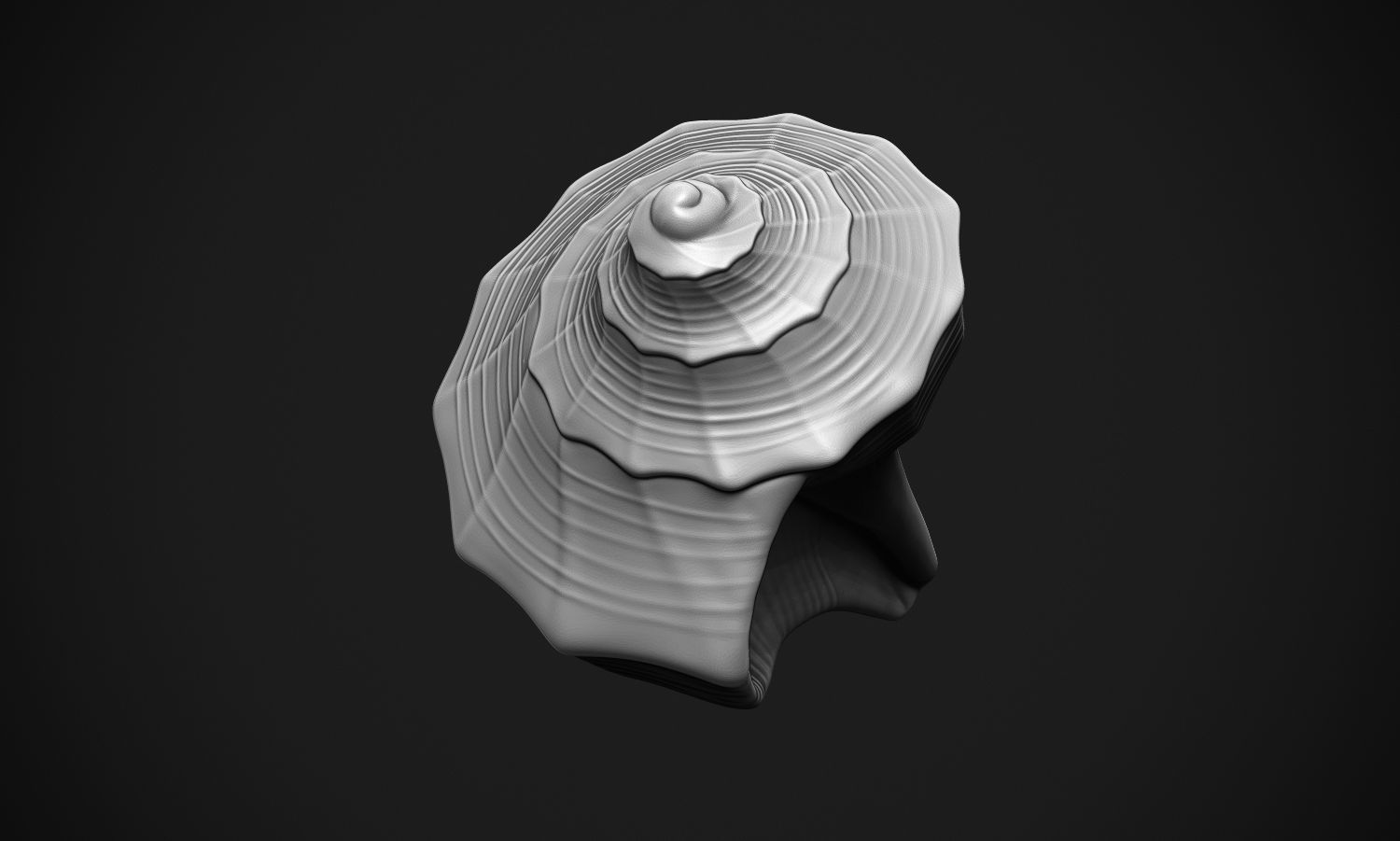 Shell sea 3D print model_8