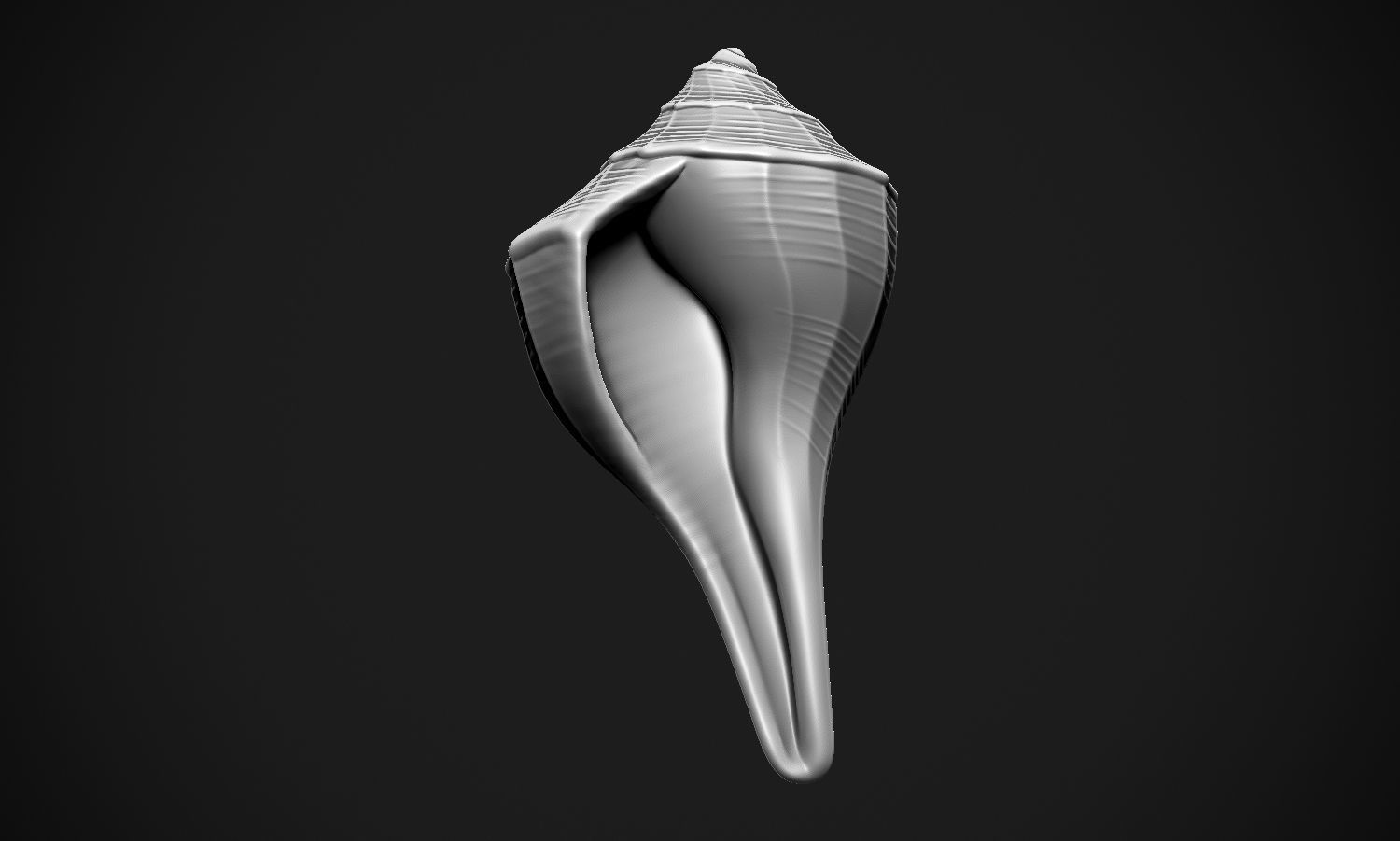 Shell sea 3D print model_11