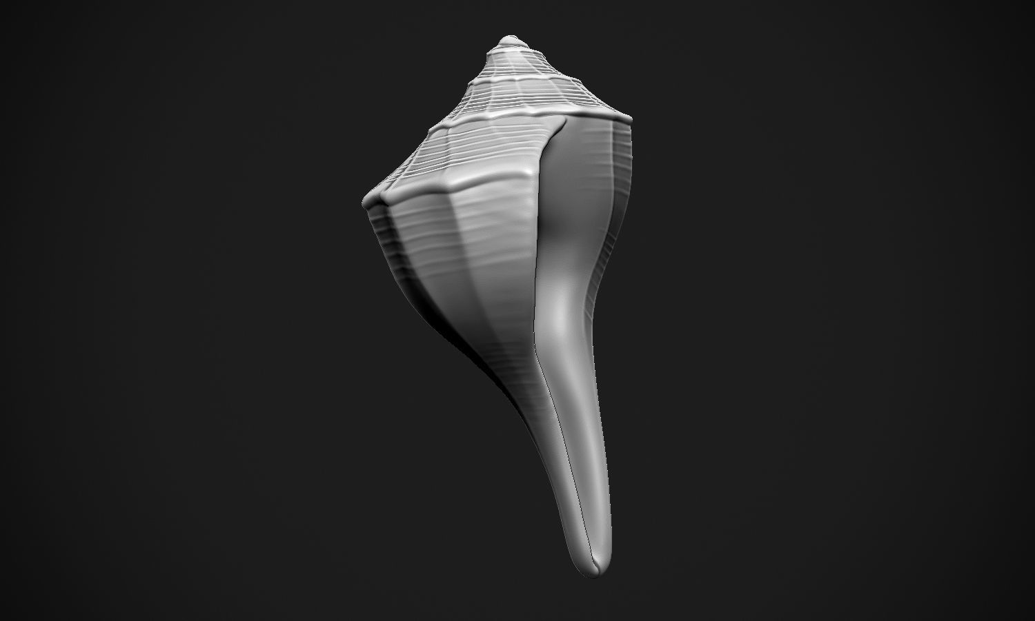 Shell sea 3D print model_13