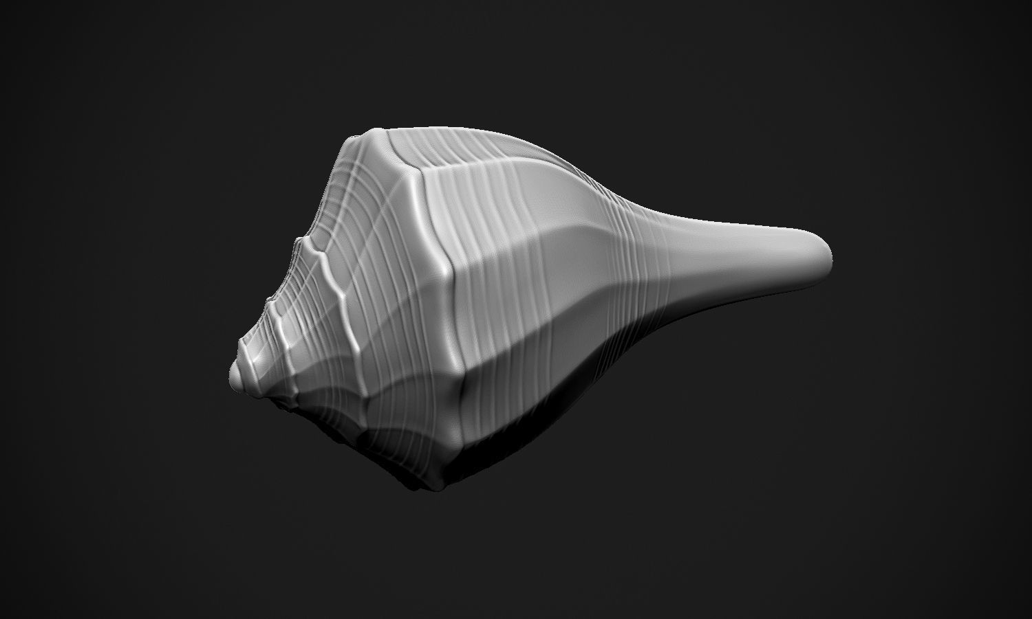 Shell sea 3D print model_5