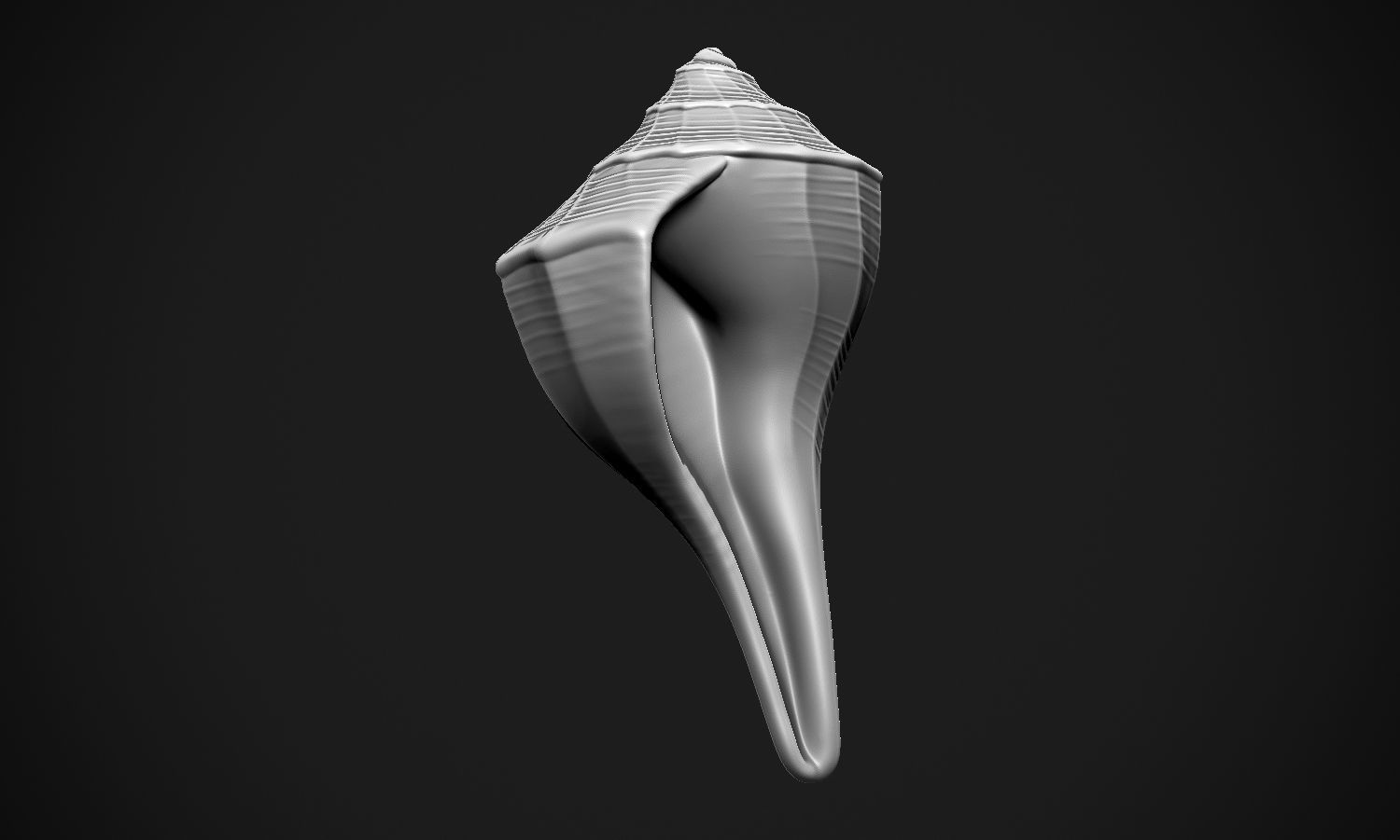 Shell sea 3D print model_12