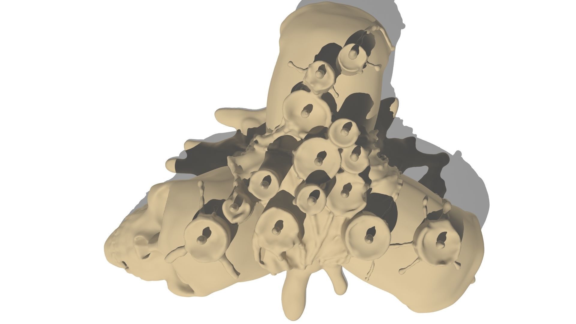 skull candle 3D model_13