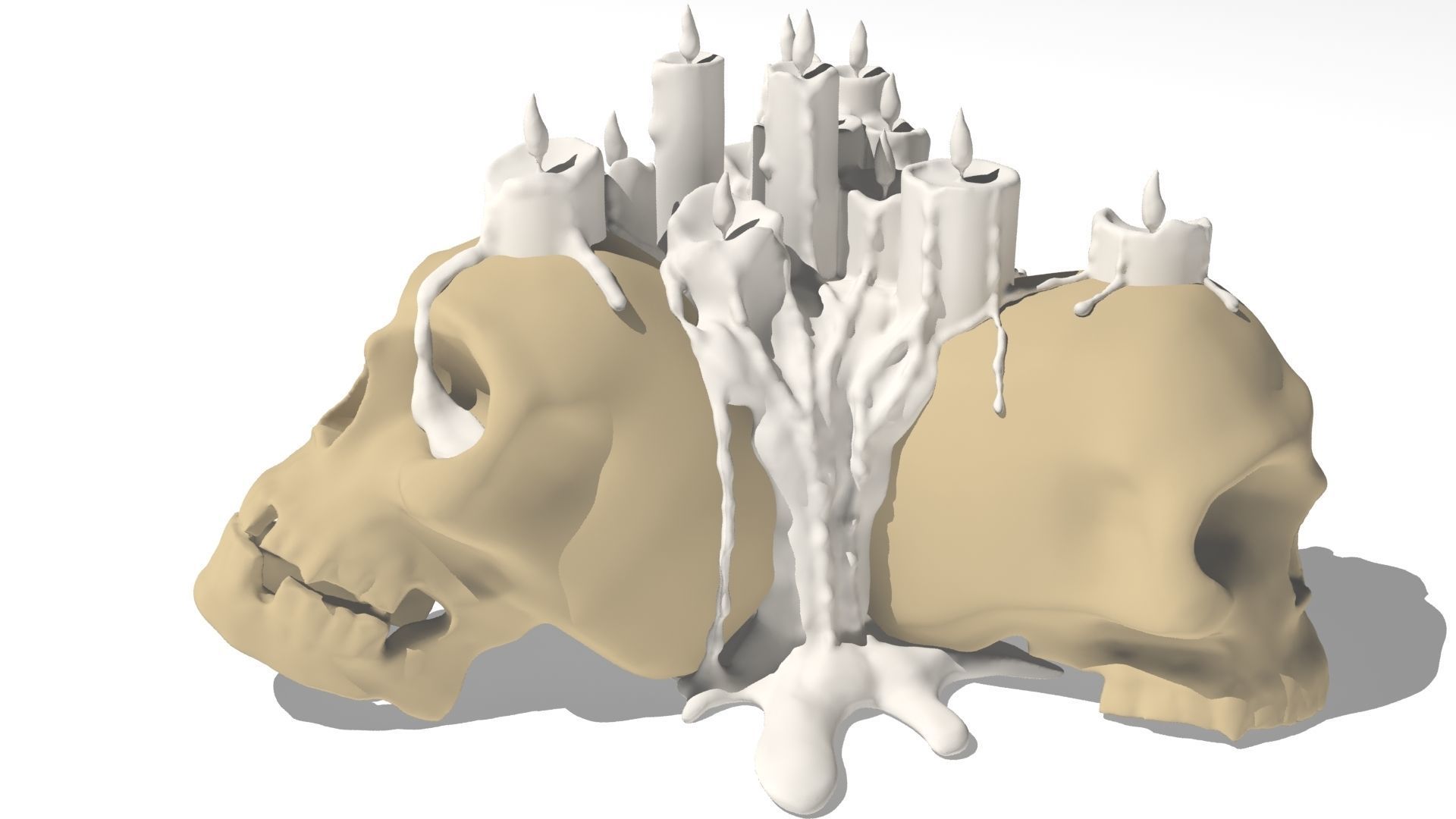 skull candle 3D model_5