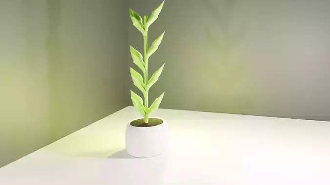 plant in vase 3D model