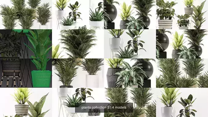 plants collection 5 potted