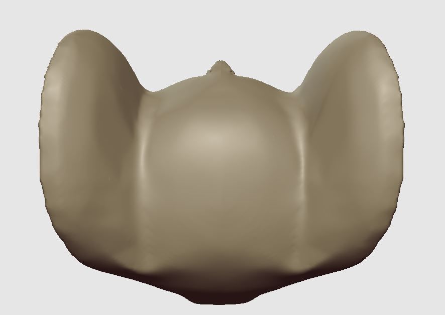 JERRY HEAD - FROM THE TOM AND JERRY SHOW 3D print model_6