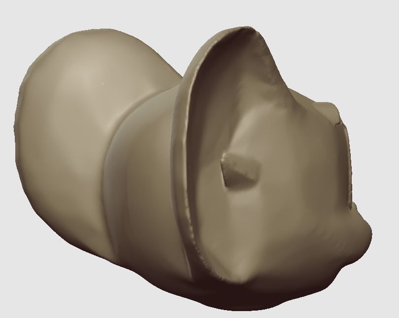 JERRY HEAD - FROM THE TOM AND JERRY SHOW 3D print model_5