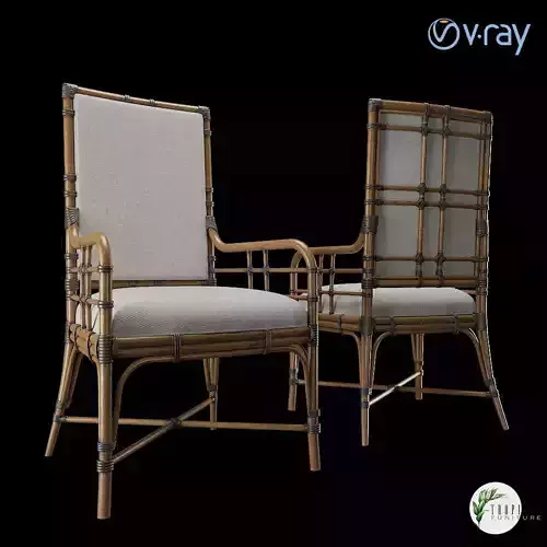 Tropical - SUMMER ISLE UPHOLSTERED ARM CHAIR 3D model