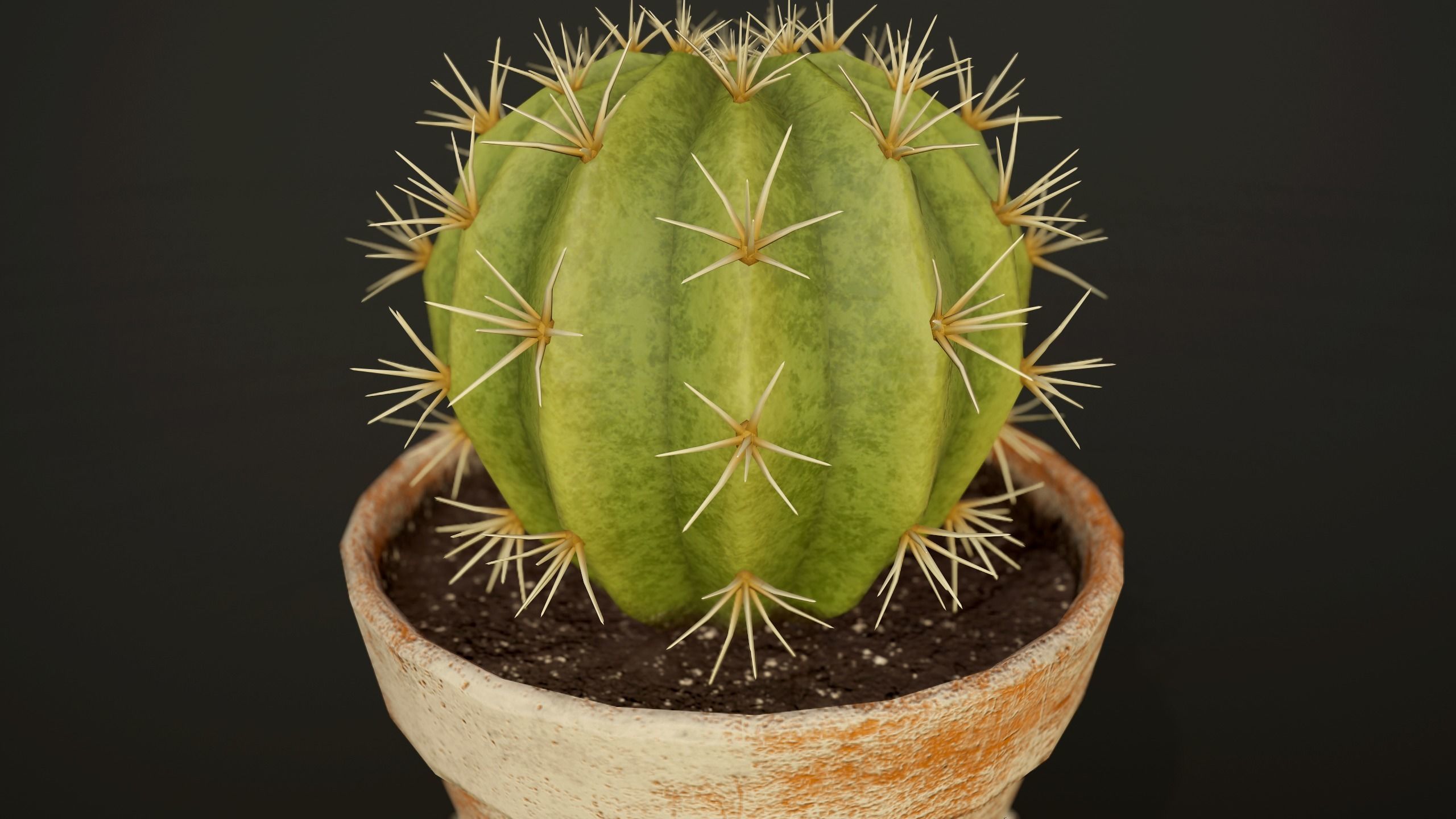 Cactus - PBR Game Ready in pot Low-poly 3D model_7