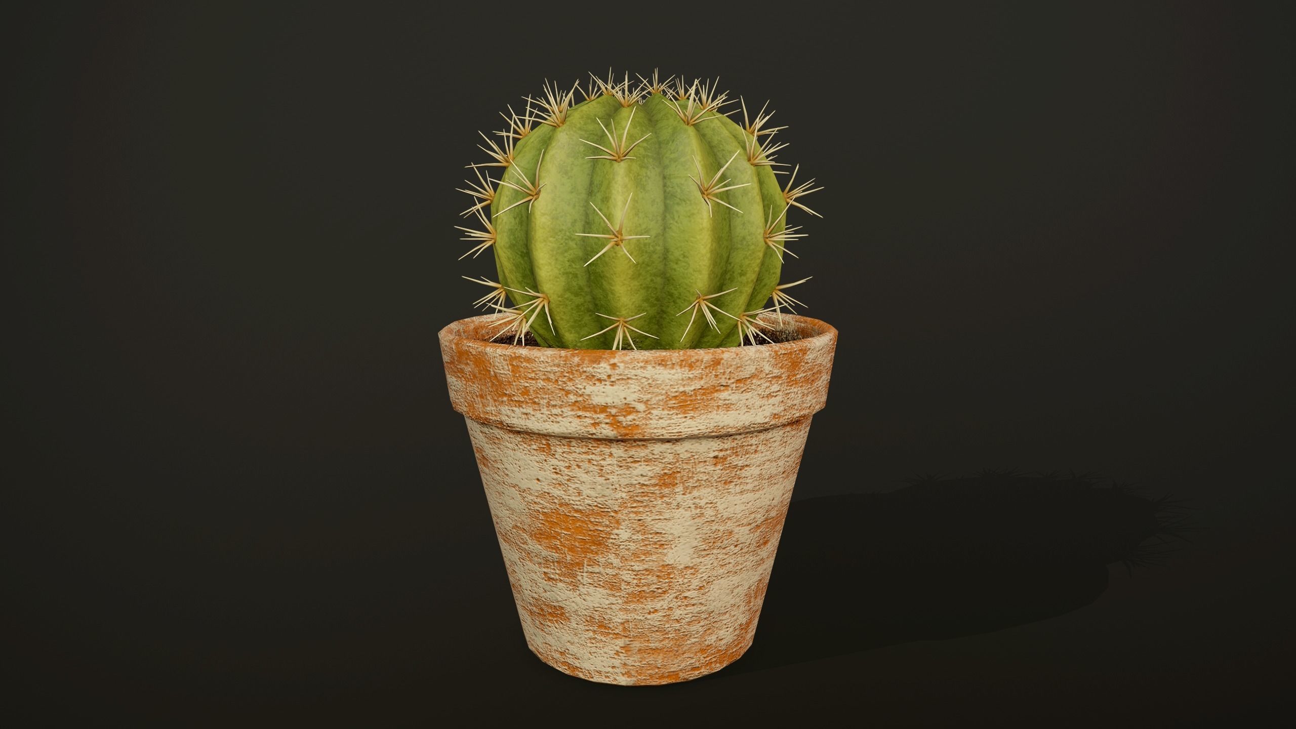 Cactus - PBR Game Ready in pot Low-poly 3D model_5