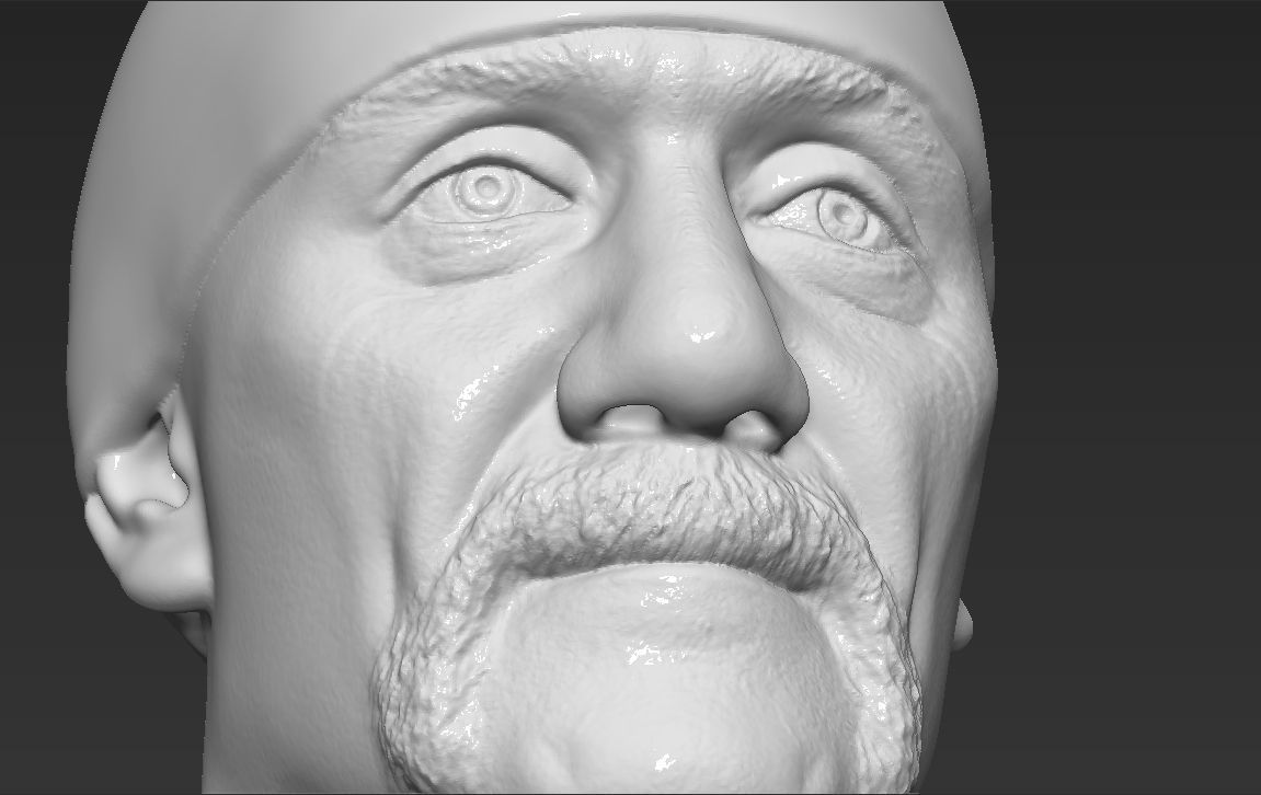 Hulk Hogan bust 3D printing ready stl obj formats 3D print model_27