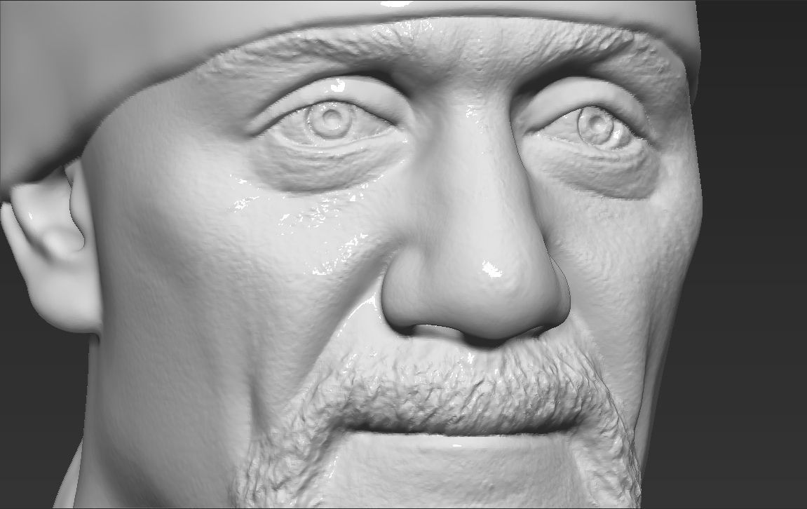 Hulk Hogan bust 3D printing ready stl obj formats 3D print model_24
