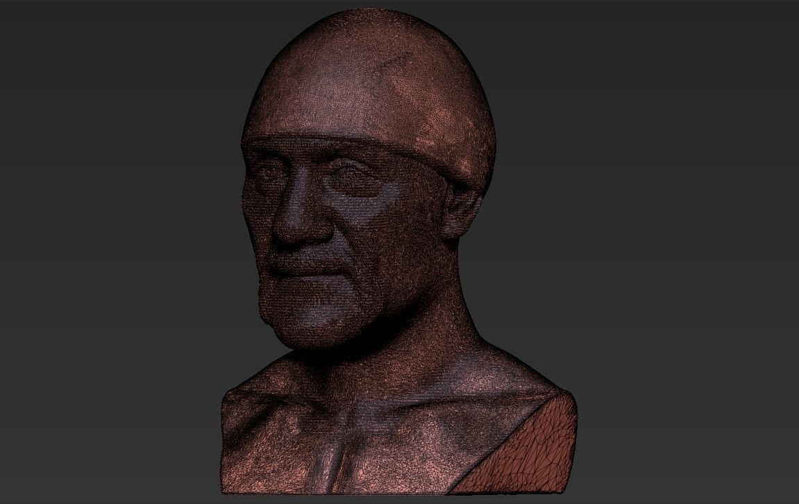 Hulk Hogan bust 3D printing ready stl obj formats 3D print model_33
