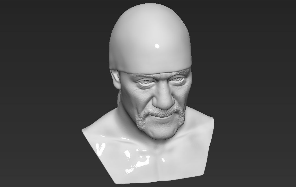 Hulk Hogan bust 3D printing ready stl obj formats 3D print model_20