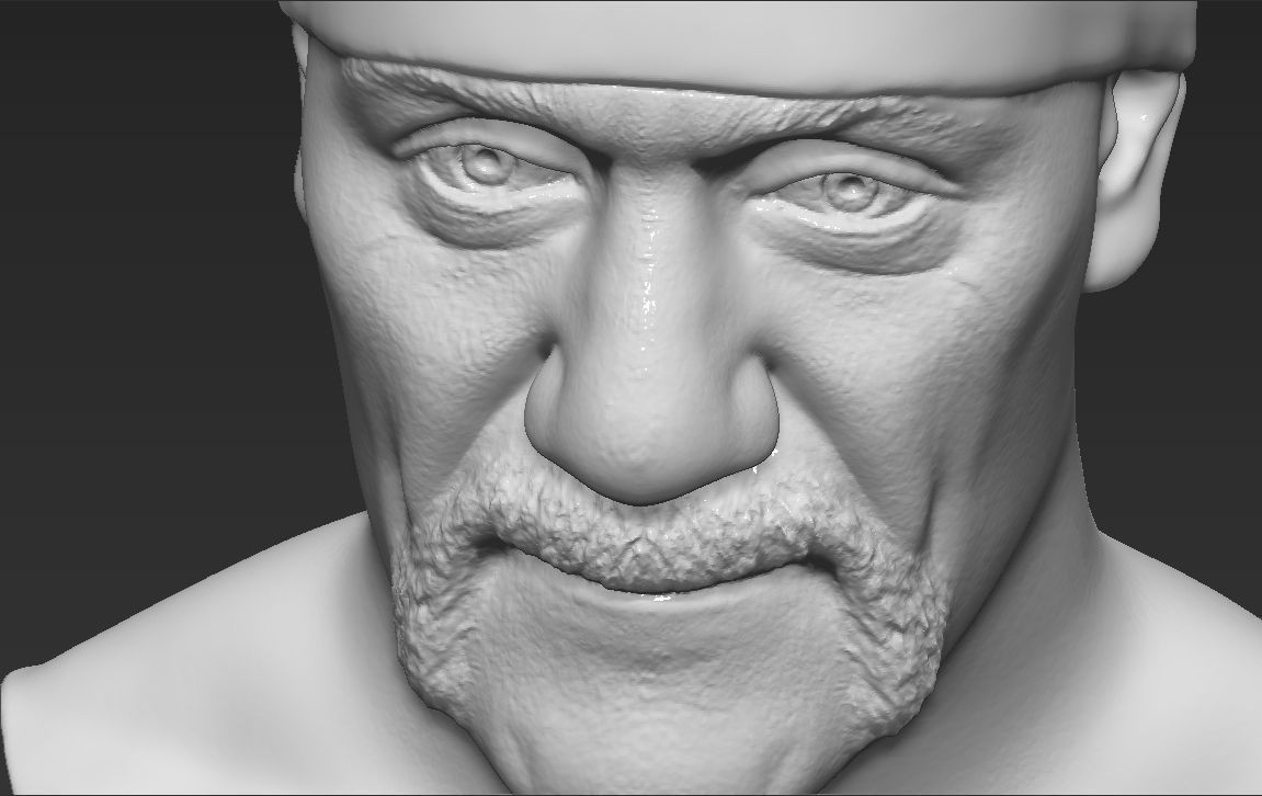 Hulk Hogan bust 3D printing ready stl obj formats 3D print model_26