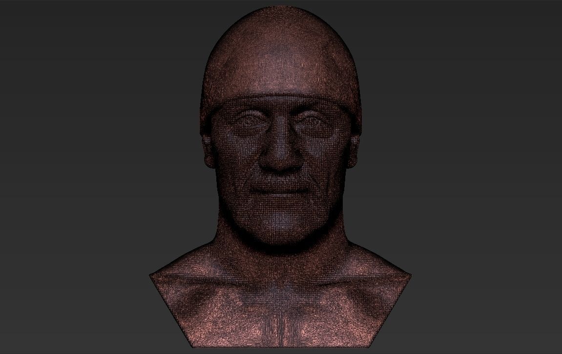 Hulk Hogan bust 3D printing ready stl obj formats 3D print model_32