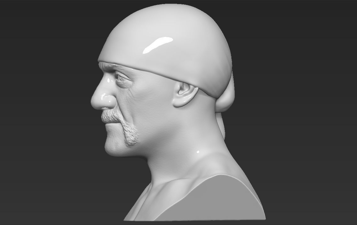 Hulk Hogan bust 3D printing ready stl obj formats 3D print model_11