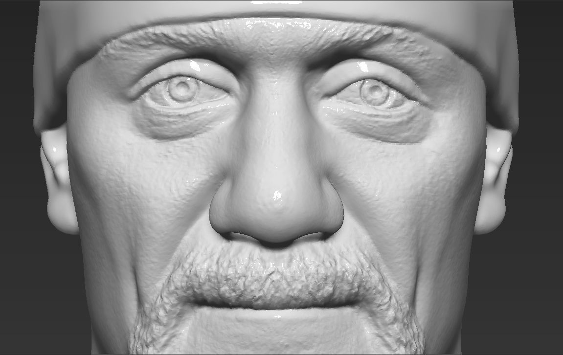 Hulk Hogan bust 3D printing ready stl obj formats 3D print model_23