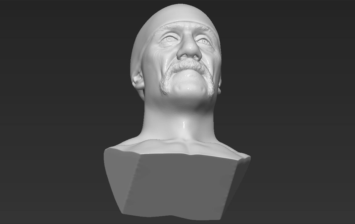 Hulk Hogan bust 3D printing ready stl obj formats 3D print model_29
