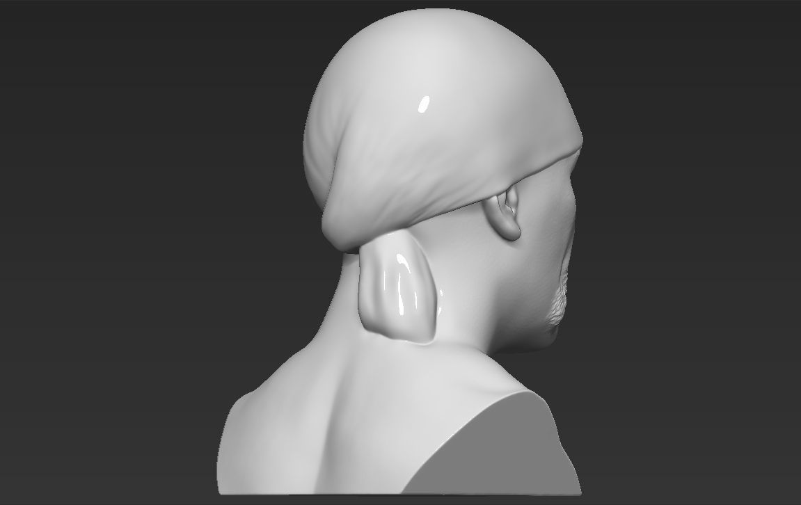 Hulk Hogan bust 3D printing ready stl obj formats 3D print model_15