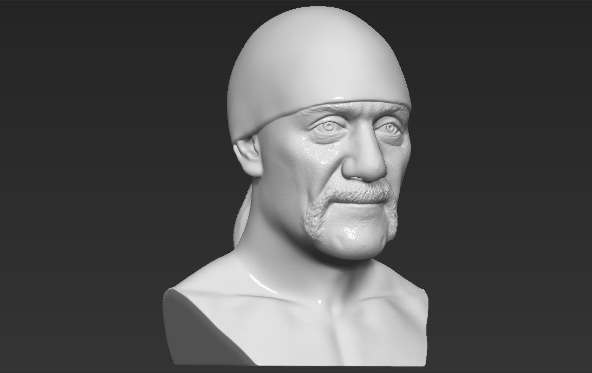 Hulk Hogan bust 3D printing ready stl obj formats 3D print model_18