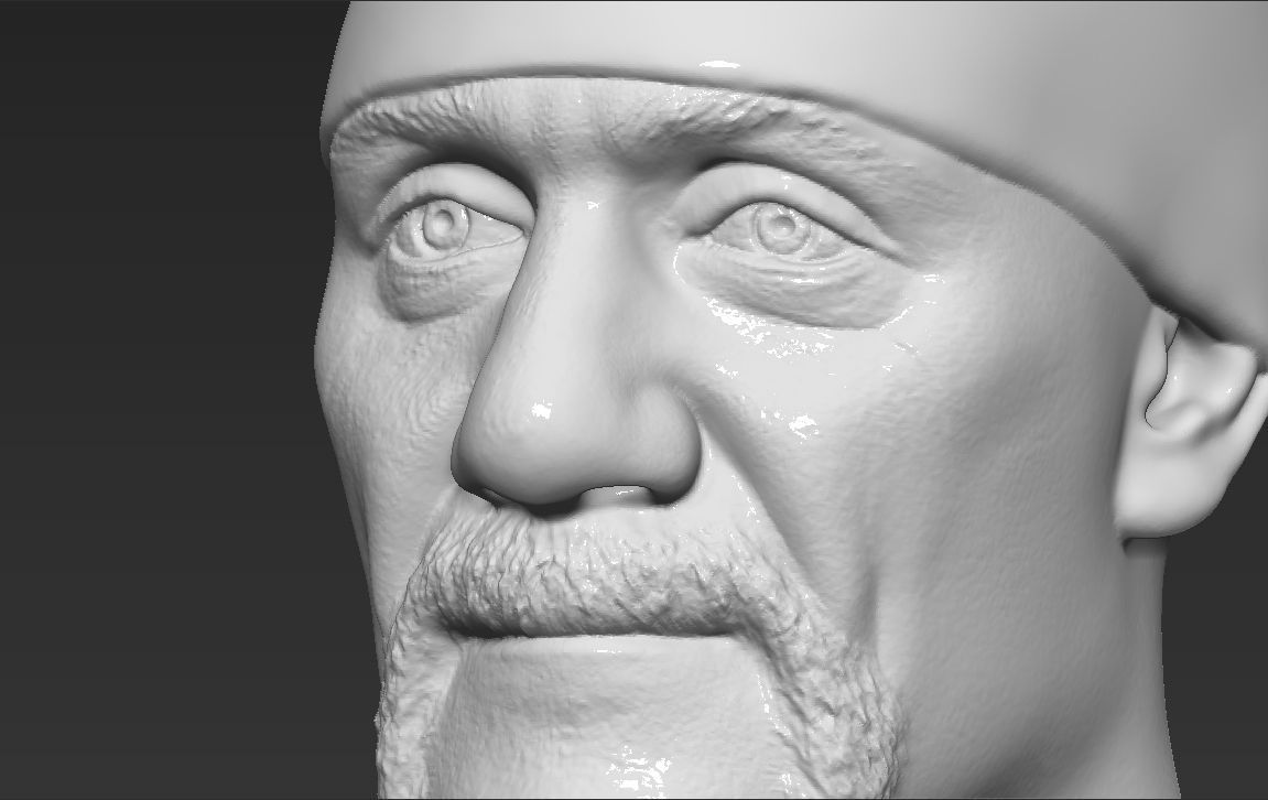 Hulk Hogan bust 3D printing ready stl obj formats 3D print model_25