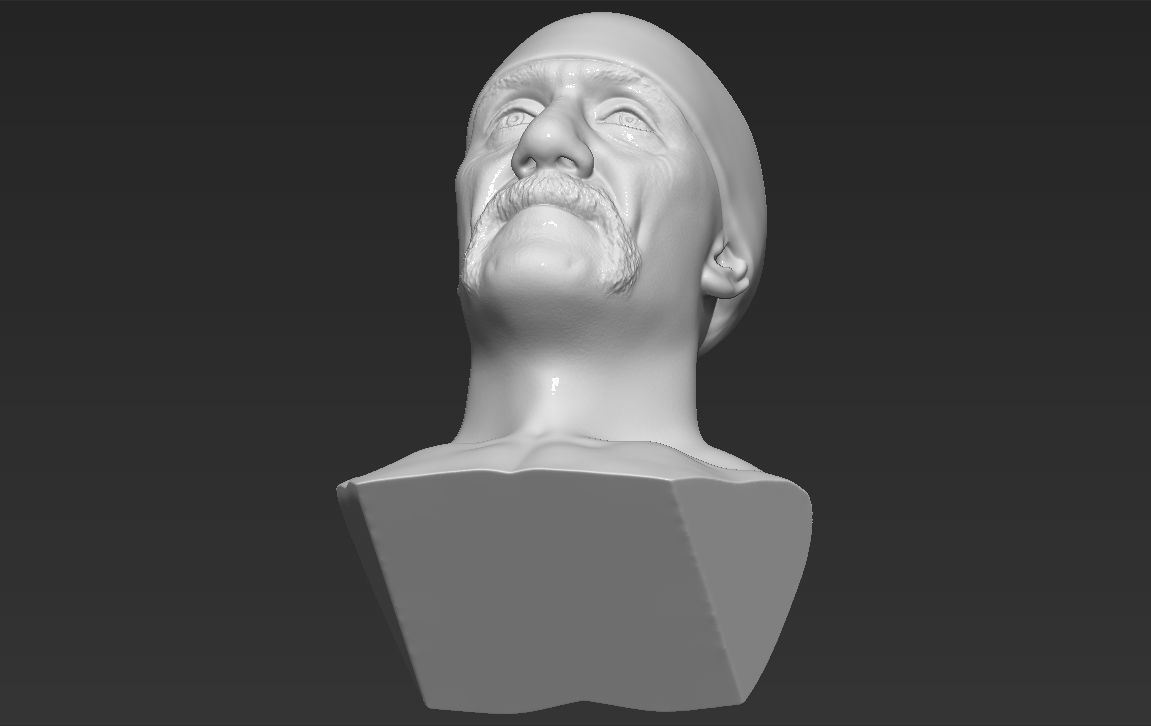 Hulk Hogan bust 3D printing ready stl obj formats 3D print model_30