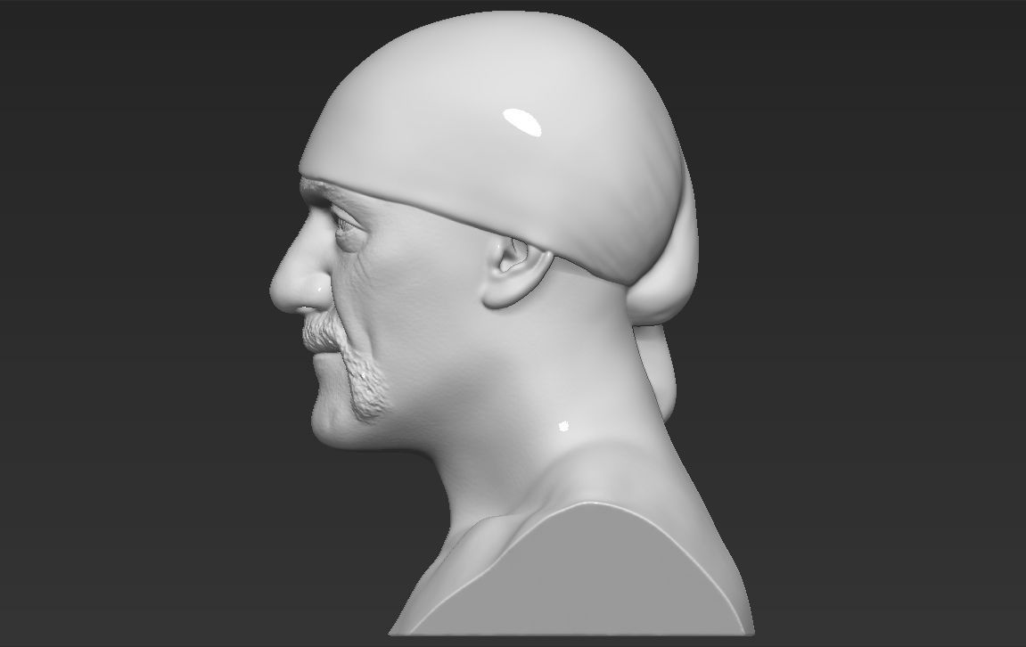 Hulk Hogan bust 3D printing ready stl obj formats 3D print model_12