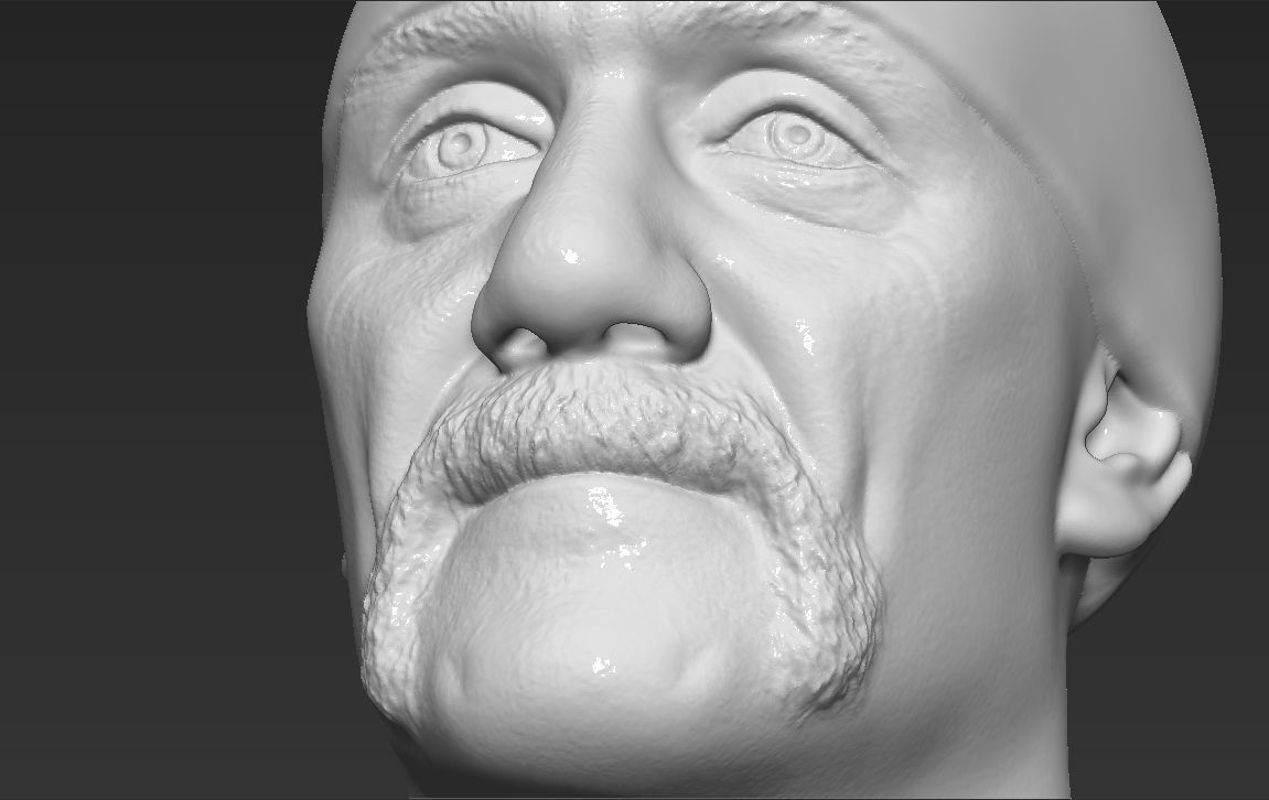 Hulk Hogan bust 3D printing ready stl obj formats 3D print model_28