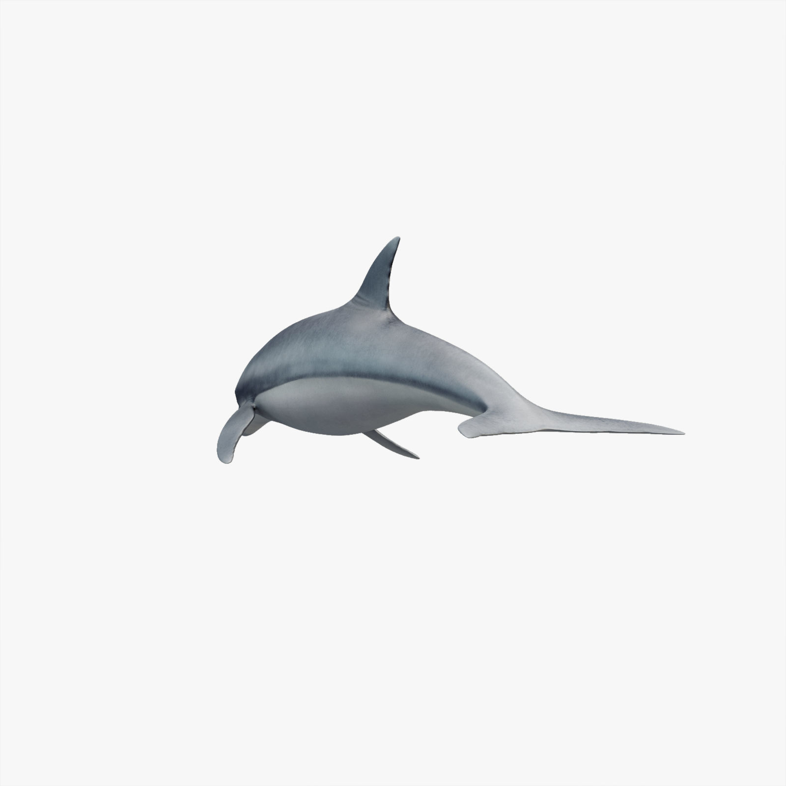Set of Sea Animals Animated 8K Low-poly 3D model_26