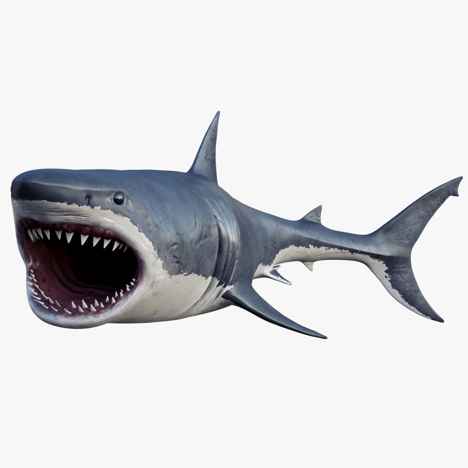Set of Sea Animals Animated 8K Low-poly 3D model_15