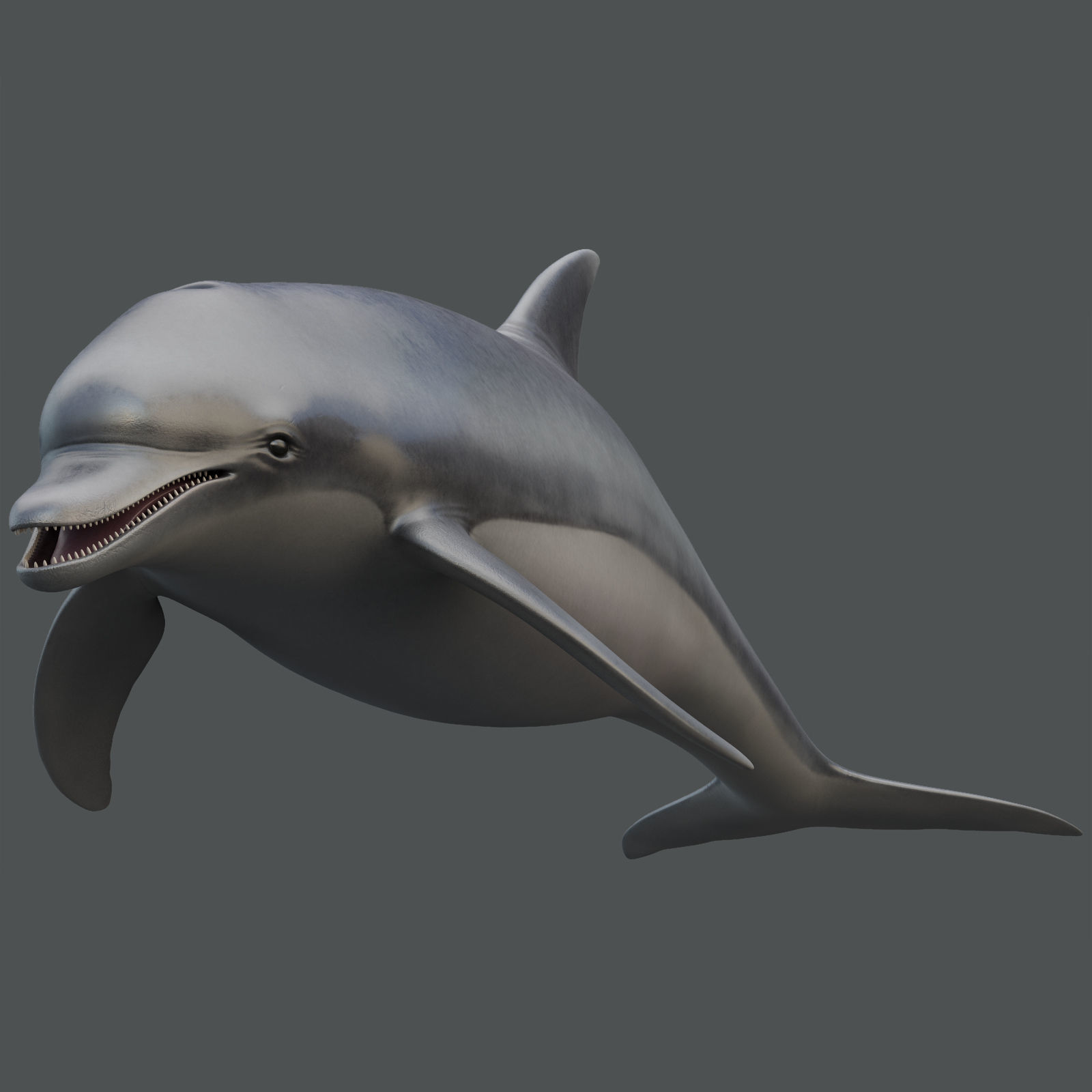 Set of Sea Animals Animated 8K Low-poly 3D model_16