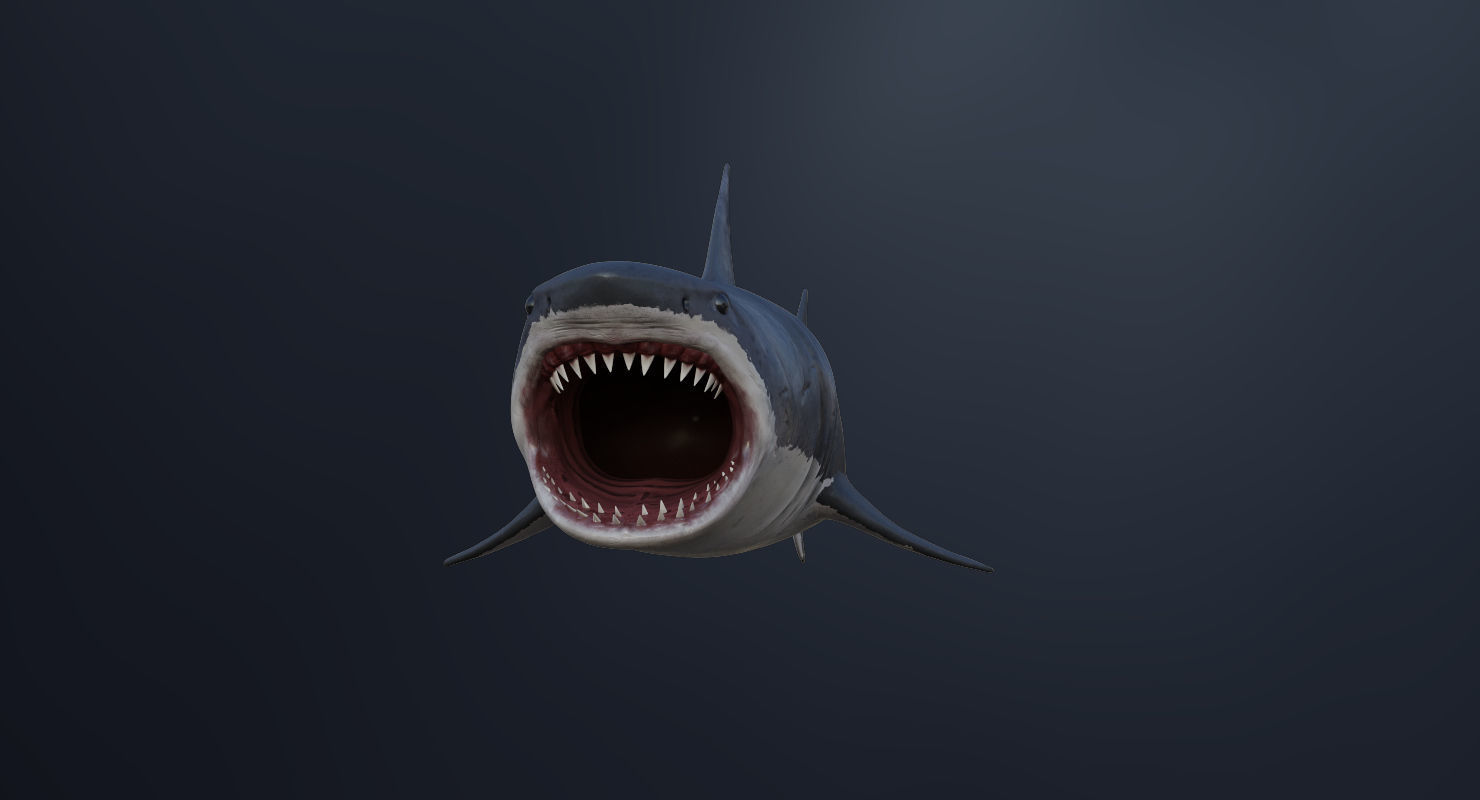 Set of Sea Animals Animated 8K Low-poly 3D model_69