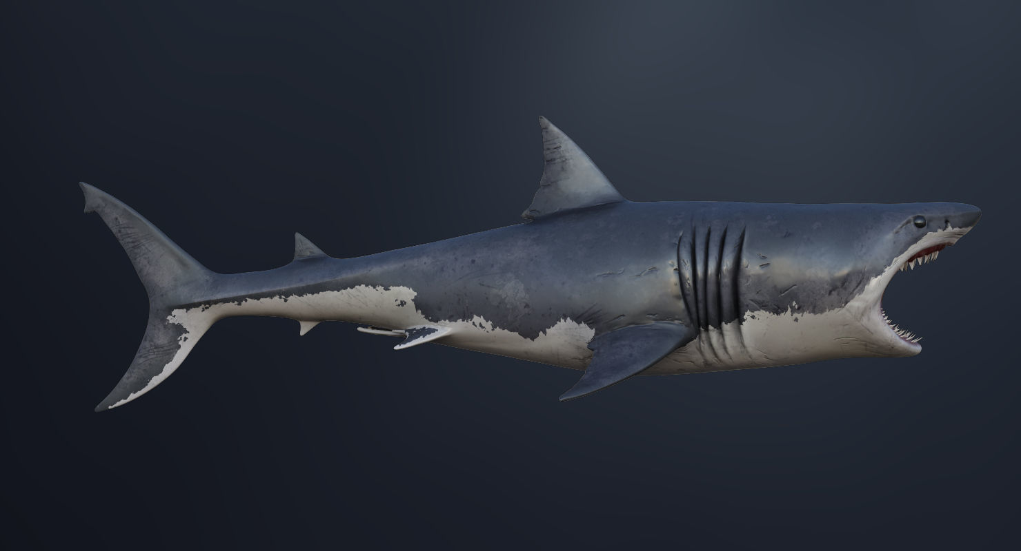 Set of Sea Animals Animated 8K Low-poly 3D model_79