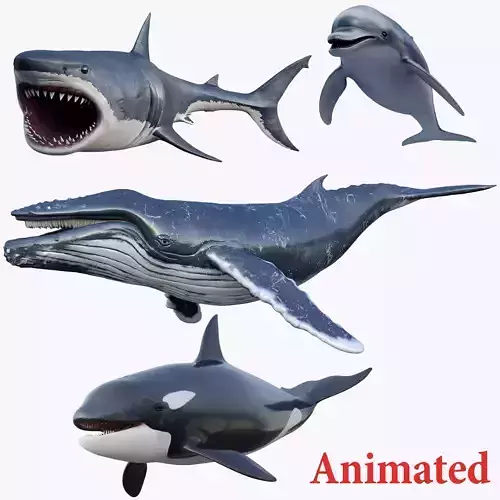  Set of Sea Animals Animated 8K Low-poly 3D model