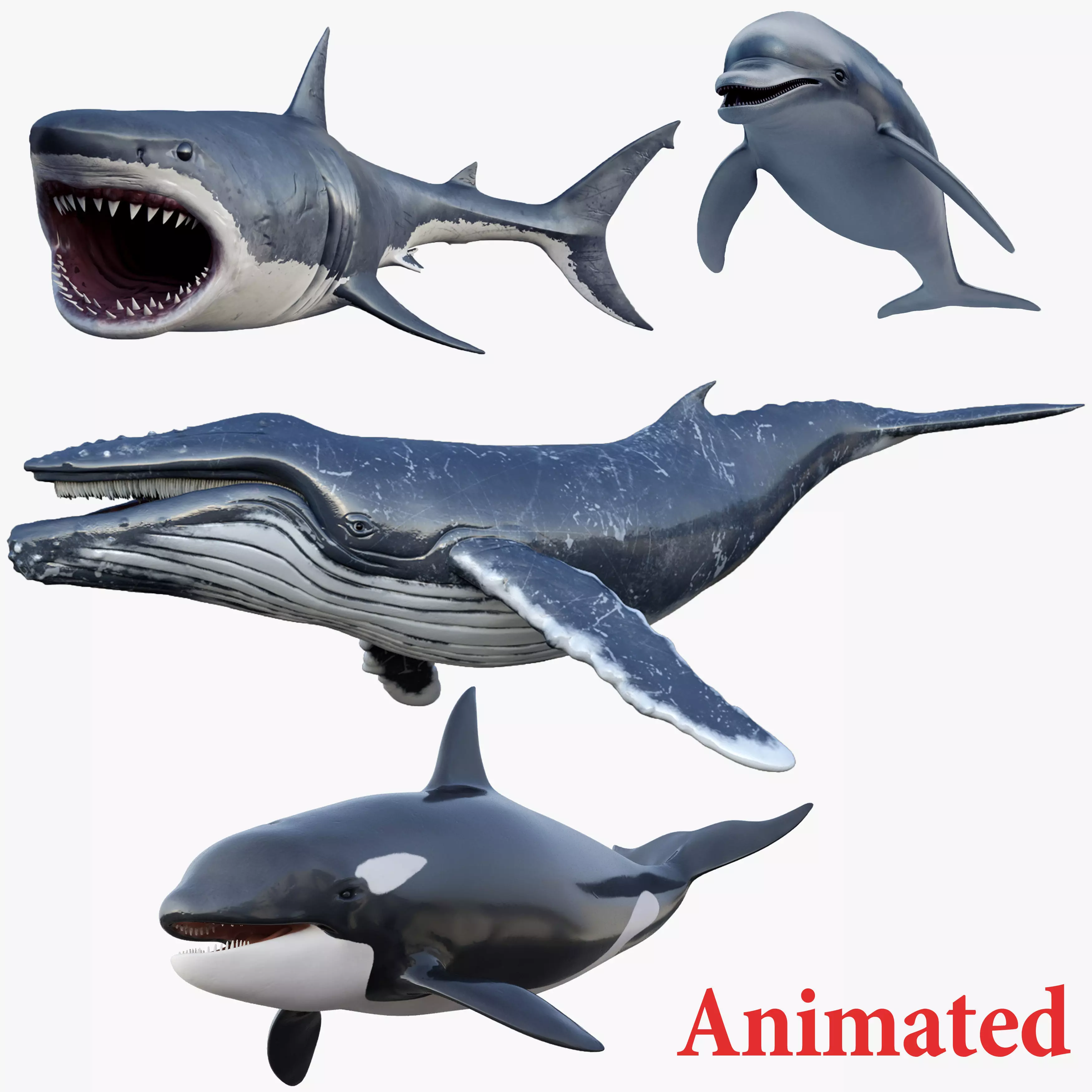 Set of Sea Animals Animated 8K Low-poly 3D model_0