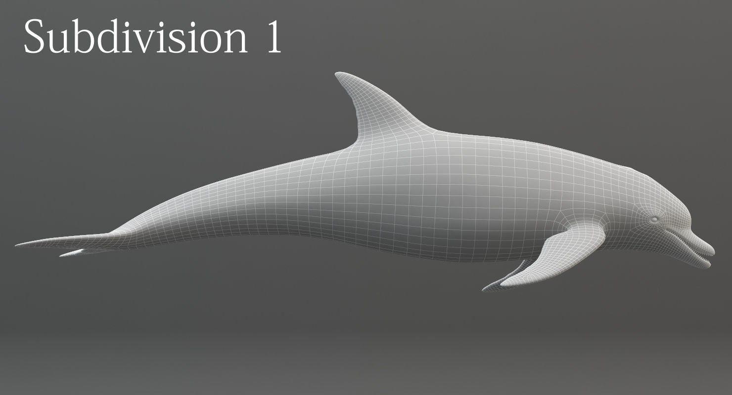 Set of Sea Animals Animated 8K Low-poly 3D model_34