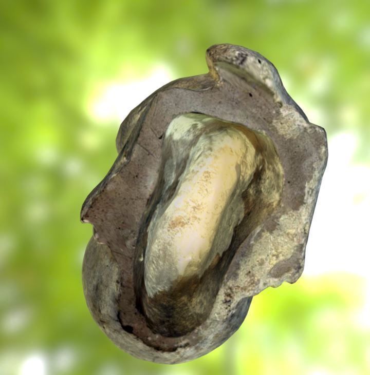 Stone lion with ball 3D model_10