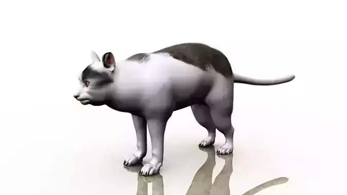 Polite Cat Meme 3d model